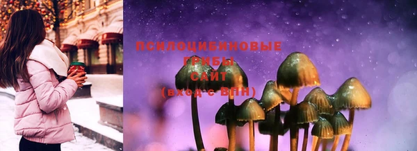 ПСИЛОЦИБИНОВЫЕ ГРИБЫ Навашино