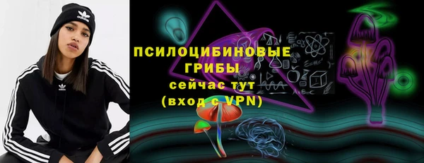 ПСИЛОЦИБИНОВЫЕ ГРИБЫ Надым