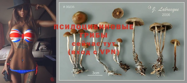 ПСИЛОЦИБИНОВЫЕ ГРИБЫ Надым