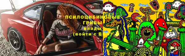 прущие крисы Нефтекумск