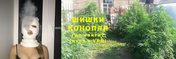 ПСИЛОЦИБИНОВЫЕ ГРИБЫ Надым