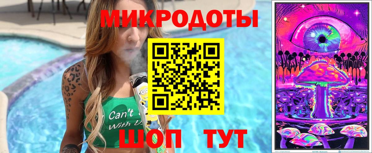 Куйбышев  Псилоцибиновые грибы Psilocybine cubensis  Вход с VPN  Псилоцибиновые грибы мицелий 