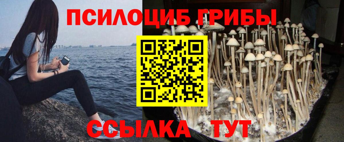 Псилоцибиновые грибы ЛСД  купить  цена  Куйбышев 