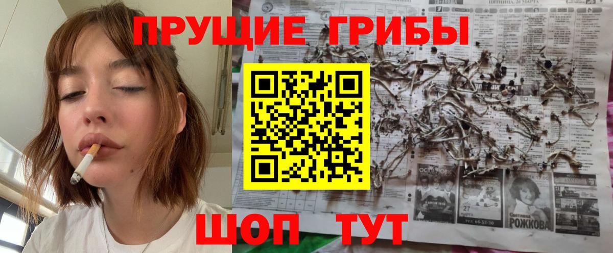 Псилоцибиновые грибы GOLDEN TEACHER Куйбышев