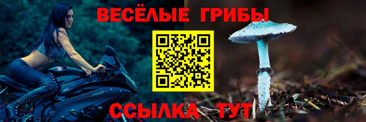 Псилоцибиновые грибы Psilocybe Куйбышев